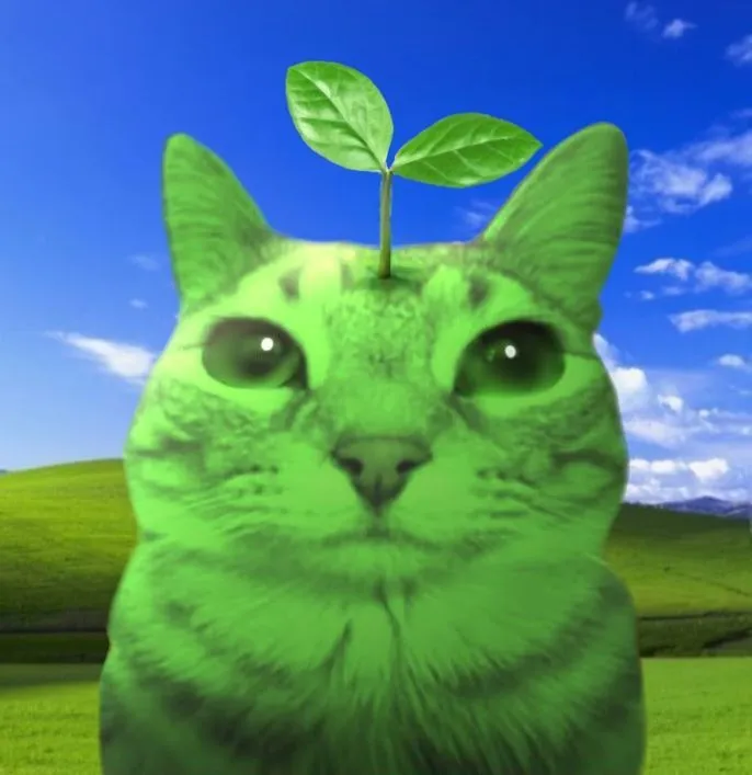 UzayliKedo Avatar